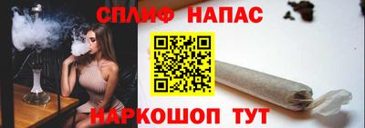 a pvp Новозыбков